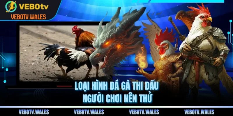 Loại hình đá gà thi đấu người chơi nên thử