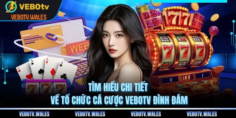 Tìm hiểu chi tiết về tổ chức cá cược VEBOTV đình đám